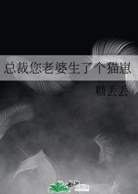 總裁您老婆生了個貓崽