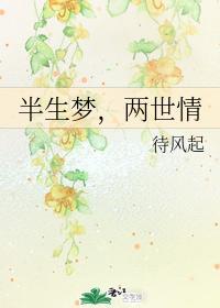 半生夢，兩世情