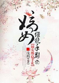 嫡女維穩手劄