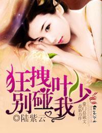狂拽葉少的婚事