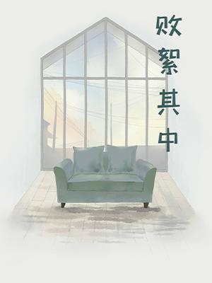 敗絮其中