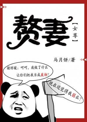 贅妻（女尊）