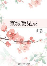 京城微見錄