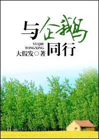 與企鵝同行
