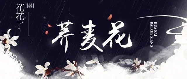 荞麥花