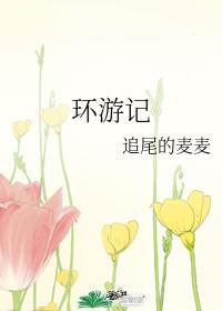 環游記