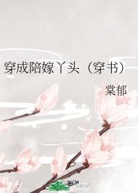 穿成陪嫁丫頭（穿書）