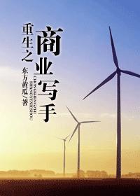 重生之商業寫手