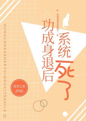 功成身退後系統死了