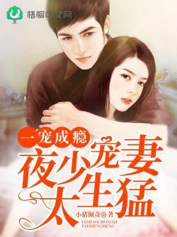 一寵成瘾：夜少寵妻太生猛