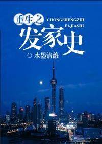 重生之發家史
