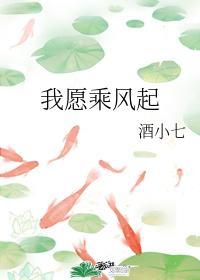 我願乘風起