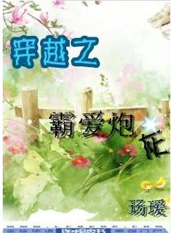 穿越之霸愛炮灰
