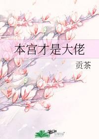 本宮才是大佬