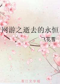 網游之逝去的永恒