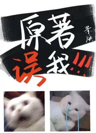 原著誤我！！！