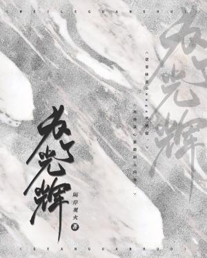 為了光輝abo
