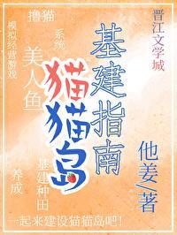 貓貓島基建指南
