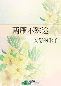 兩雁不殊途