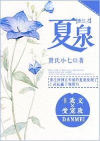 重生之夏泉