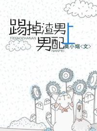 重生之踢掉渣男上男配