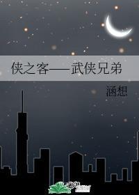 俠之客——武俠兄弟
