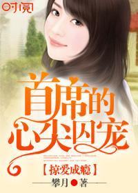 掠愛成瘾，首席的心尖囚