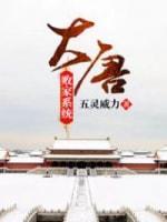 大唐敗家系統