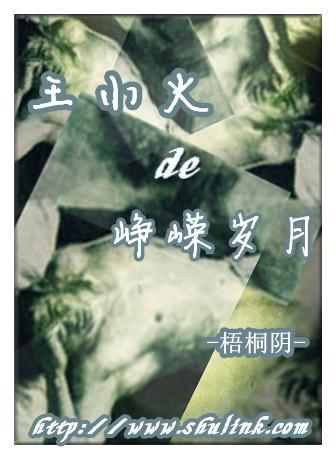 王小火的峥嵘歲月