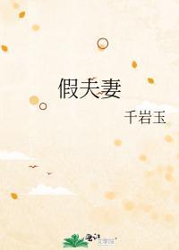 假夫妻