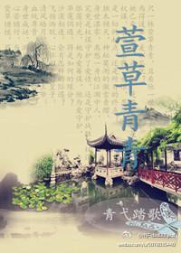 萱草青青