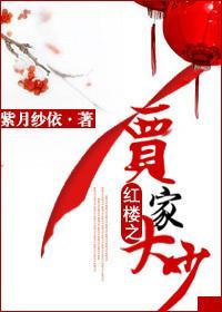 紅樓之賈家大少