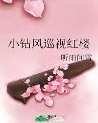 小鑽風巡視紅樓