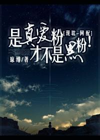 是真愛粉才不是黑粉！