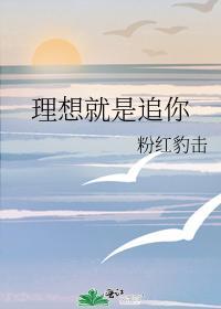 理想就是追你