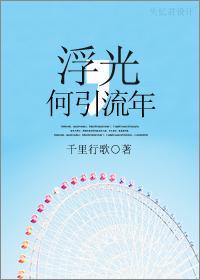 浮光，何引流年