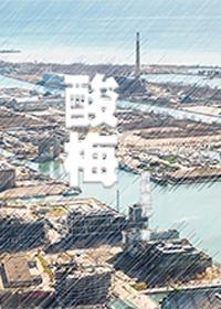 酸梅
