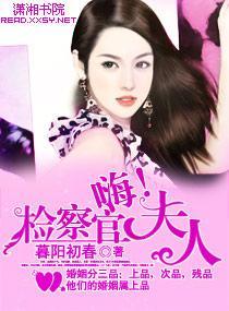 嗨，檢察官夫人