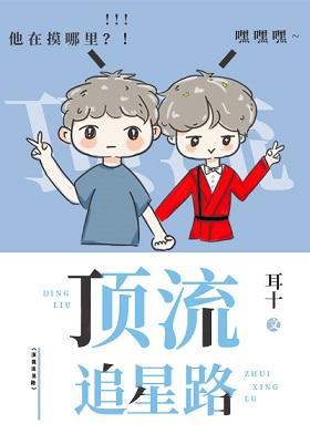 頂流追星路（娛樂圈）