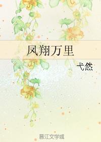 鳳翔萬裏