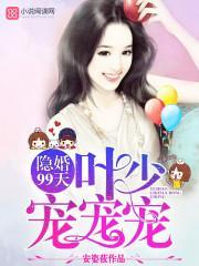 隐婚99天：葉少，寵寵寵！