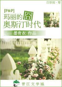 瑪麗的奧斯汀時代