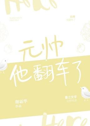 元帥他翻車了