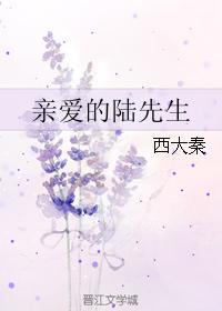 親愛的陸先生