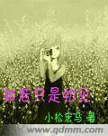 如若只是初見