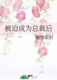 被迫成為總裁後