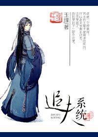 追夫系統