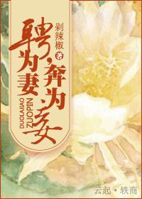 聘為妻，奔為妾