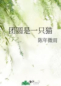 團圓是一只貓