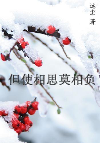 但使相思莫相負